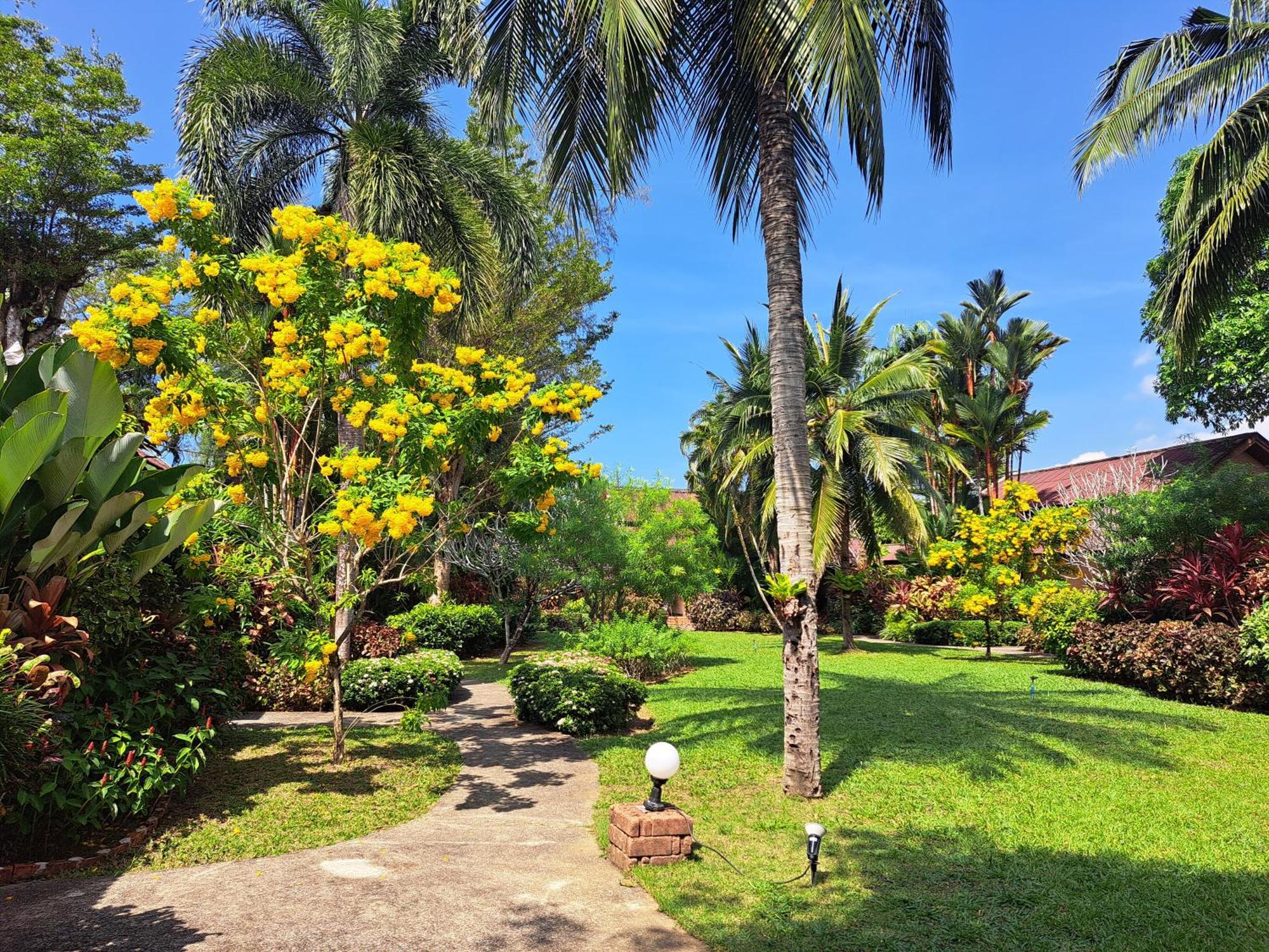 Jasmin Resort - Sha Plus خاو لاك المظهر الخارجي الصورة